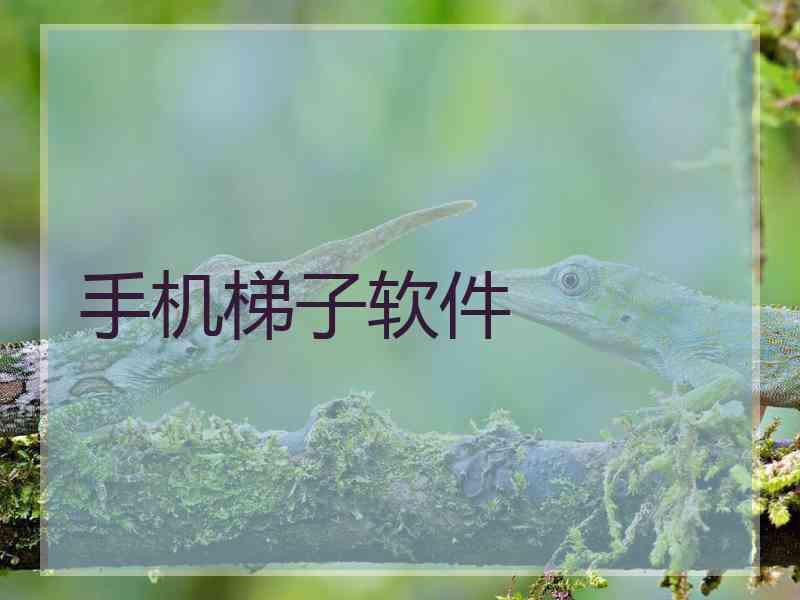 手机梯子软件