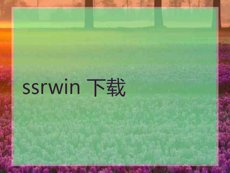 ssrwin 下载