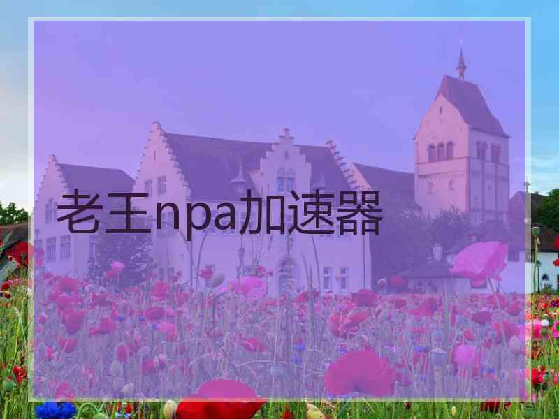 老王npa加速器
