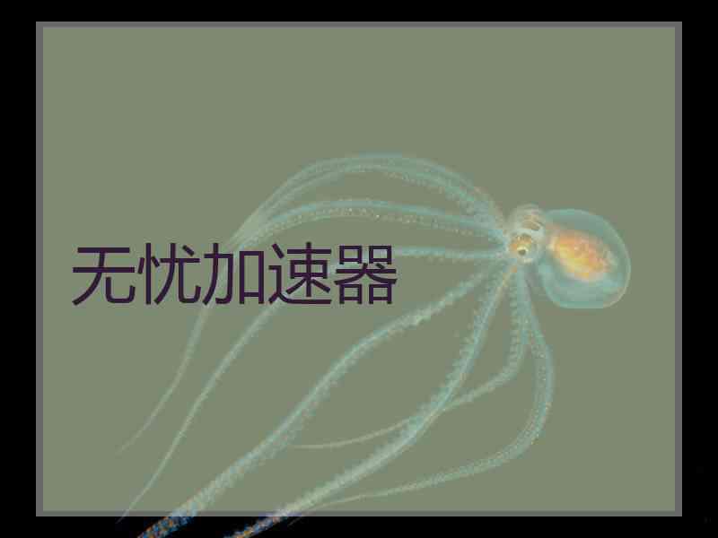 无忧加速器