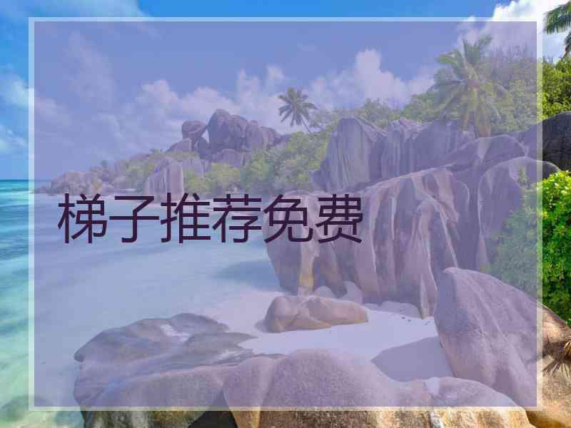 梯子推荐免费