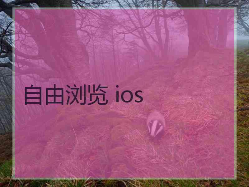 自由浏览 ios