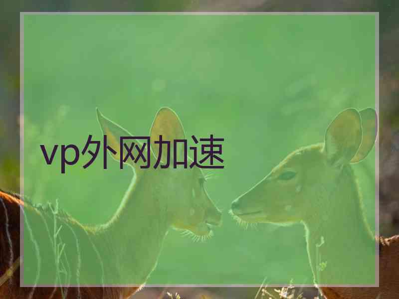 vp外网加速