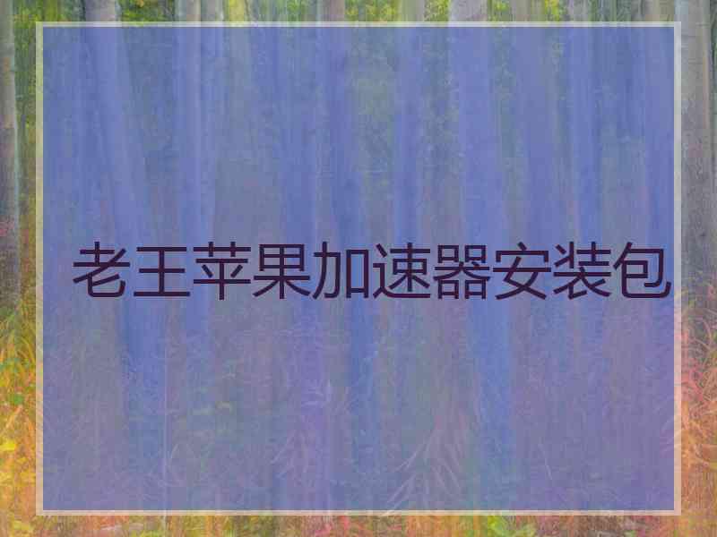 老王苹果加速器安装包
