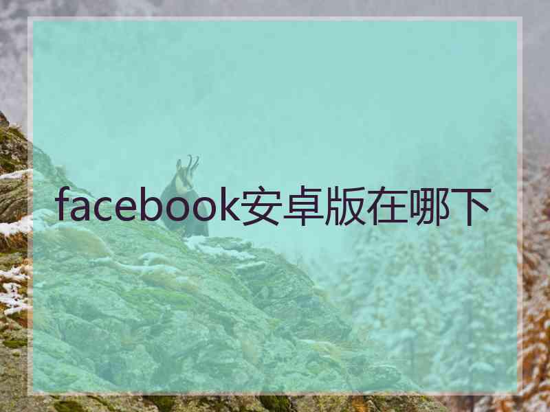 facebook安卓版在哪下