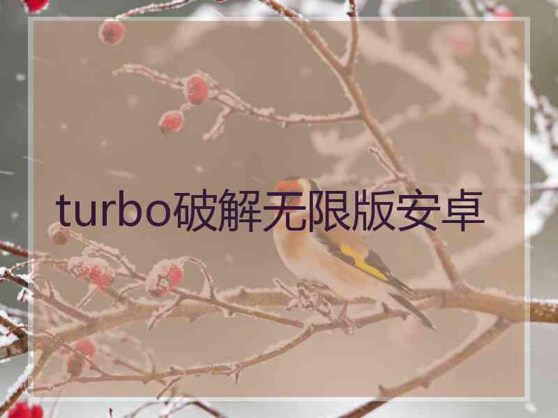 turbo破解无限版安卓