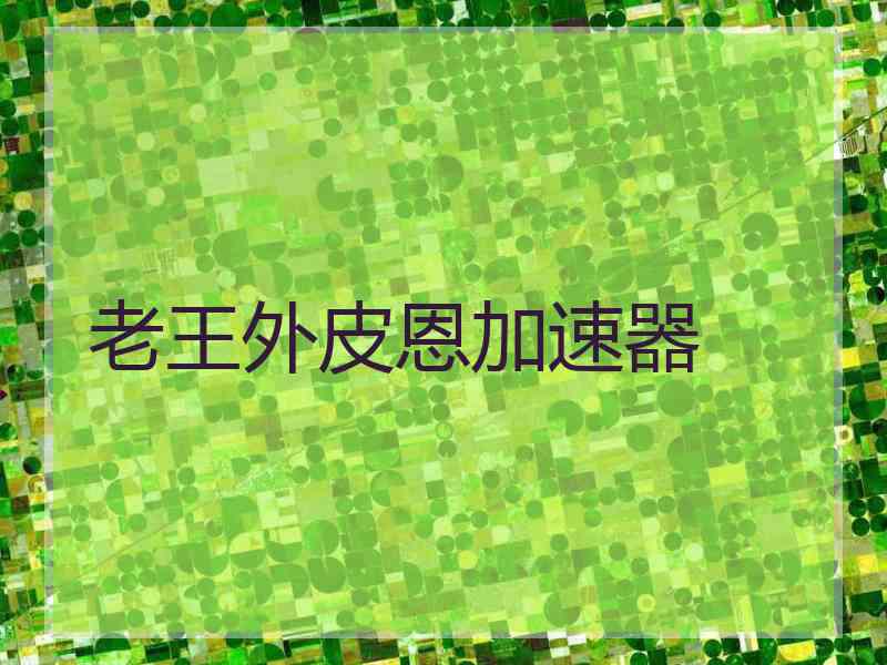 老王外皮恩加速器