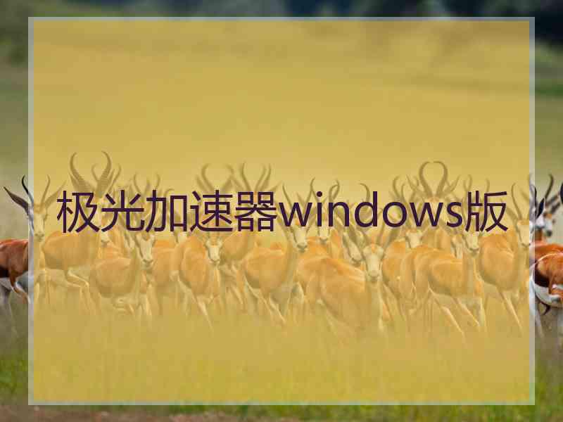 极光加速器windows版