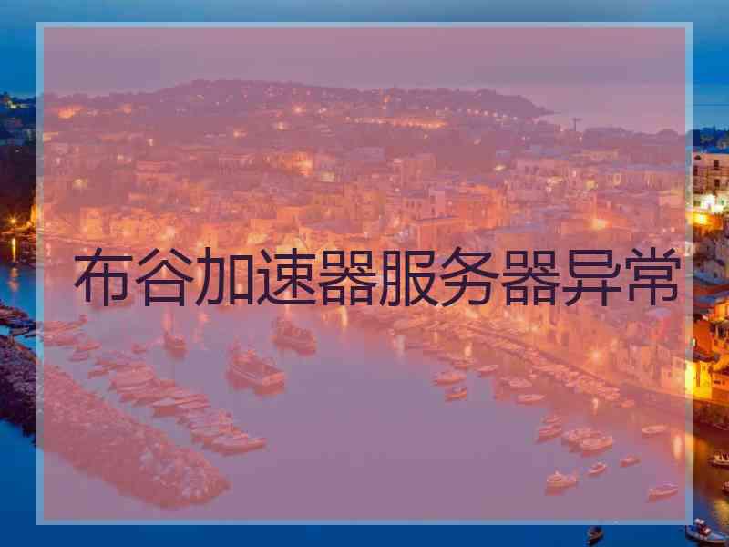 布谷加速器服务器异常