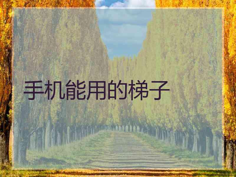 手机能用的梯子