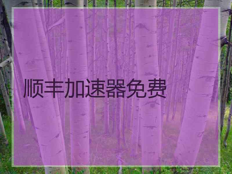 顺丰加速器免费