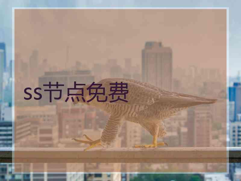 ss节点免费