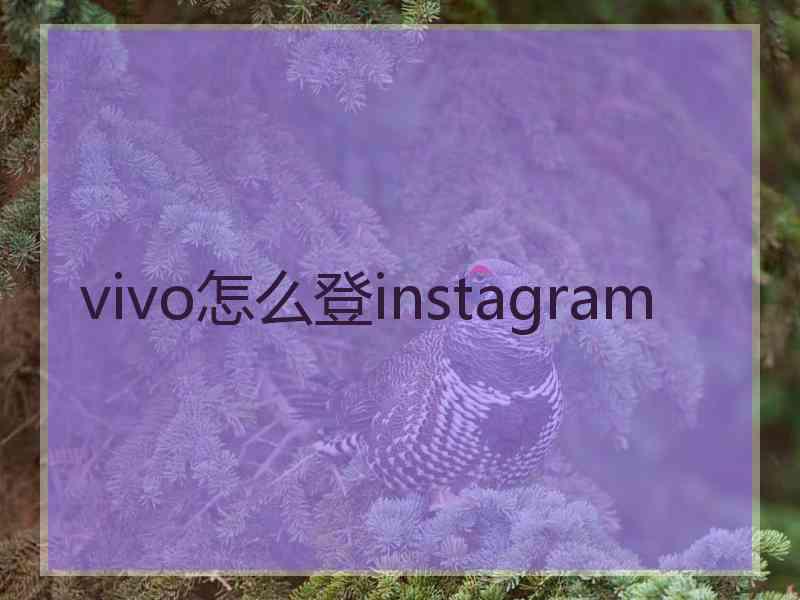 vivo怎么登instagram
