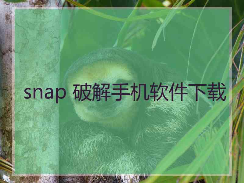 snap 破解手机软件下载