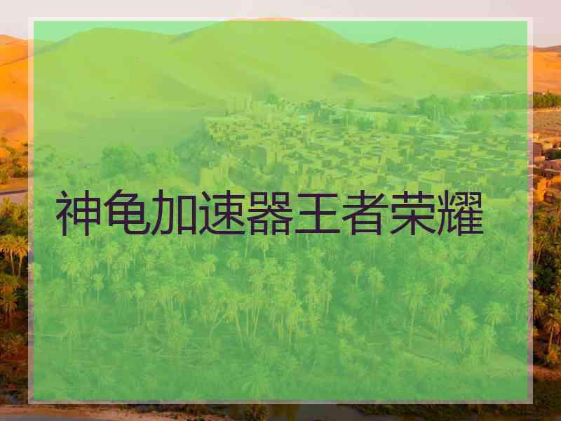 神龟加速器王者荣耀