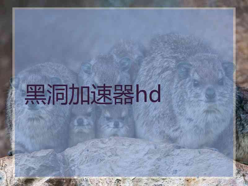 黑洞加速器hd