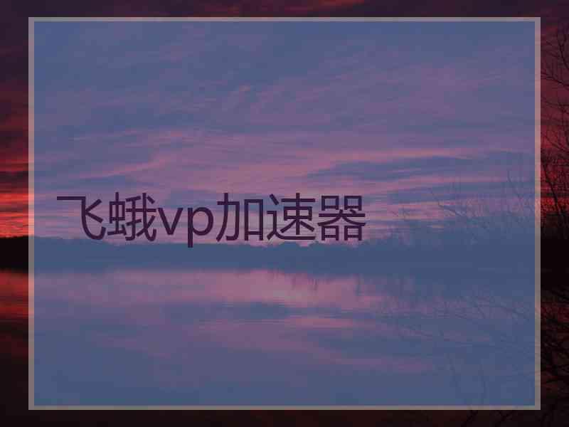飞蛾vp加速器