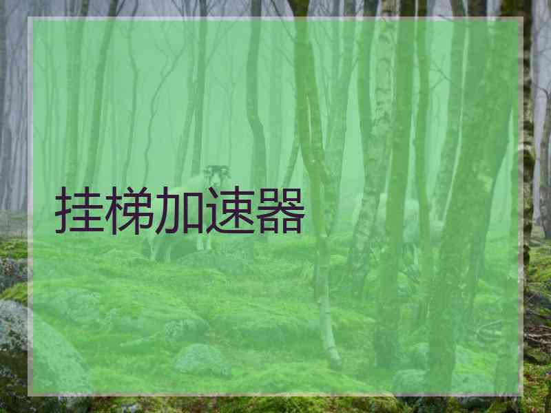 挂梯加速器