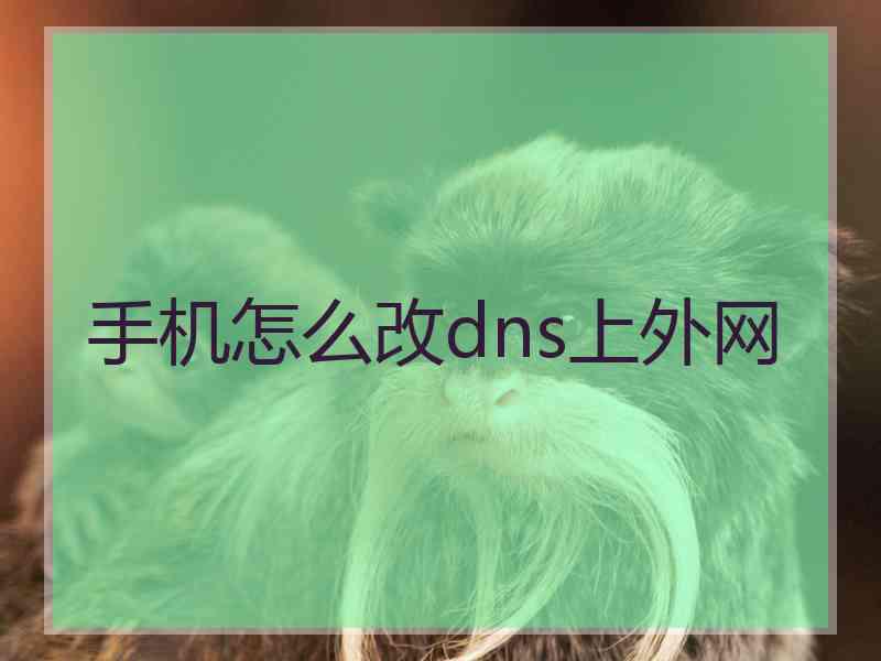 手机怎么改dns上外网