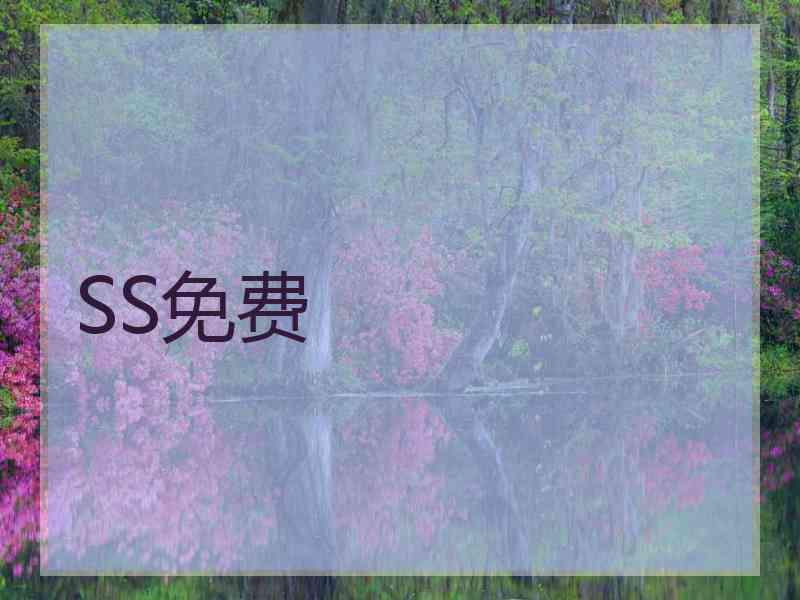 SS免费