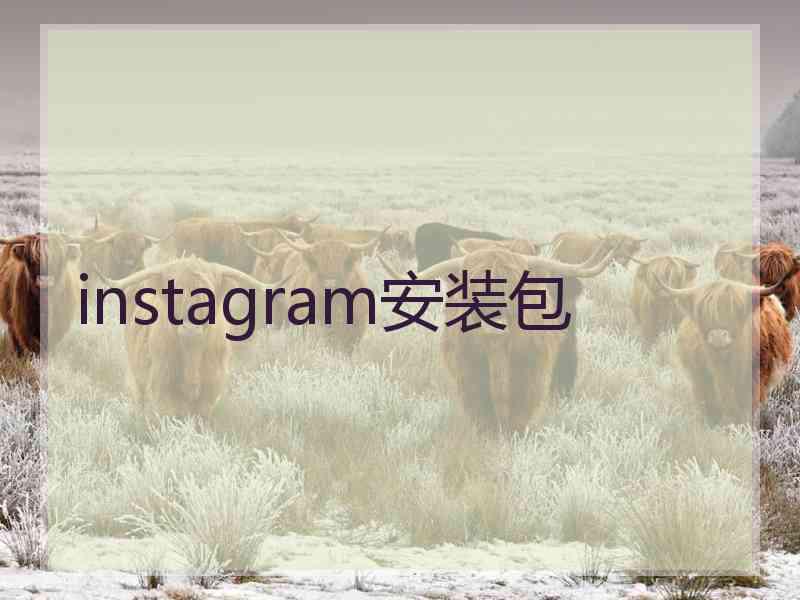 instagram安装包