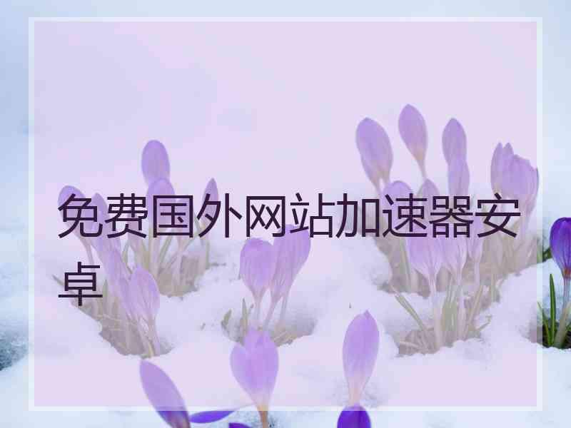免费国外网站加速器安卓