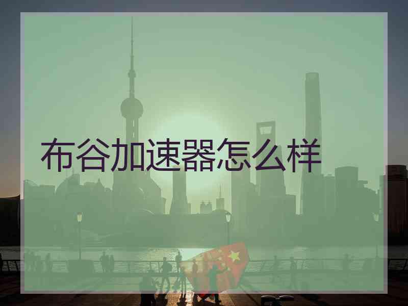 布谷加速器怎么样