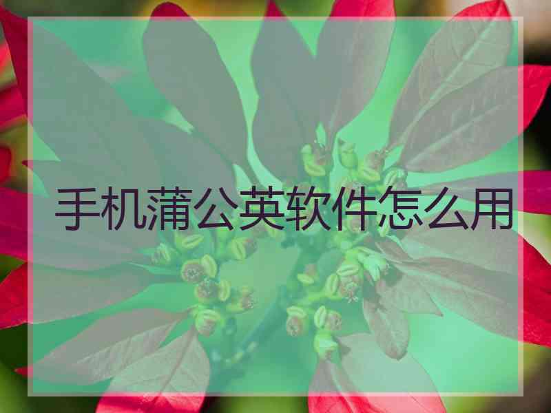 手机蒲公英软件怎么用