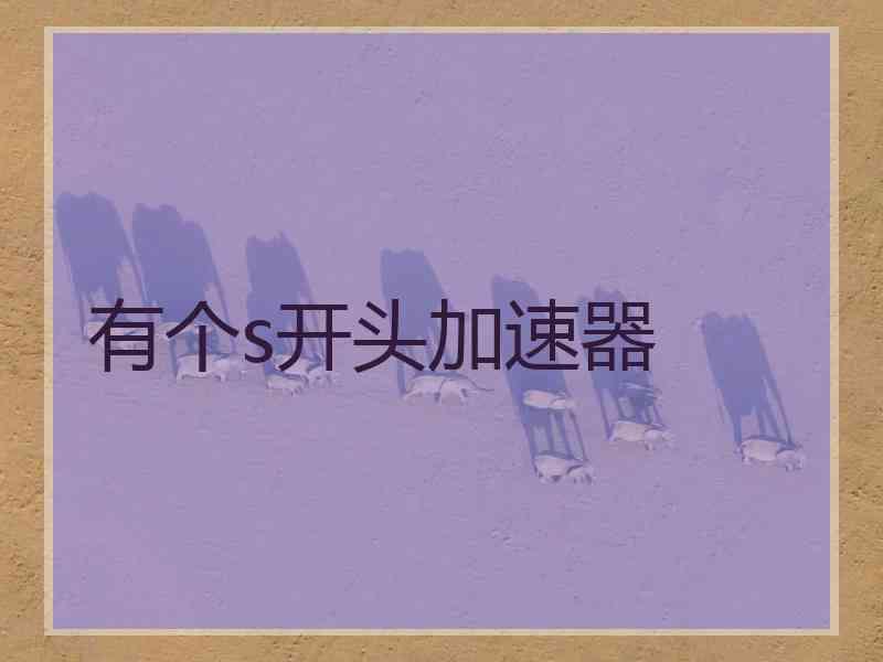 有个s开头加速器
