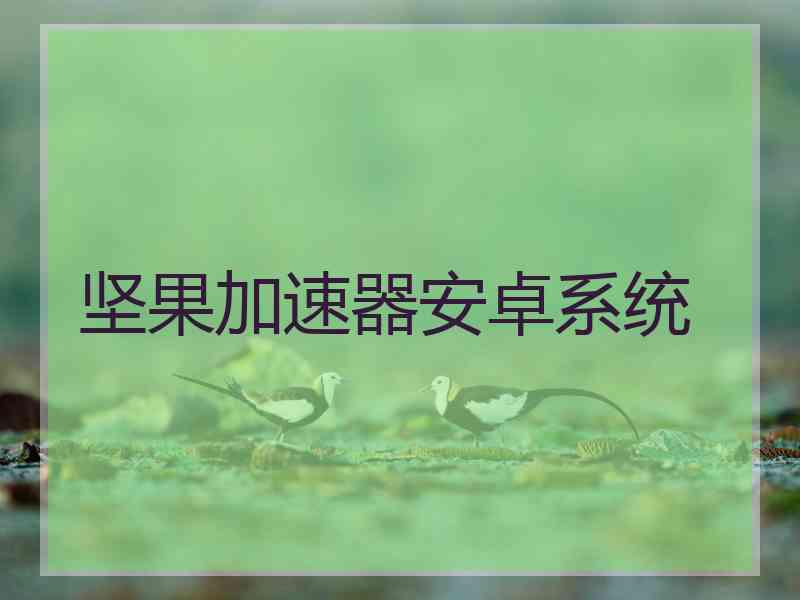 坚果加速器安卓系统