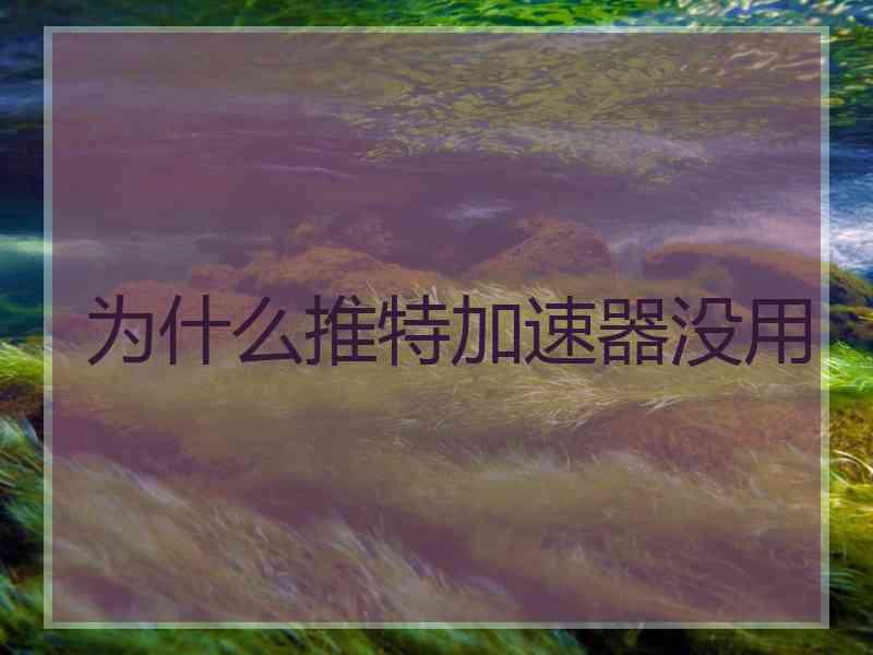为什么推特加速器没用