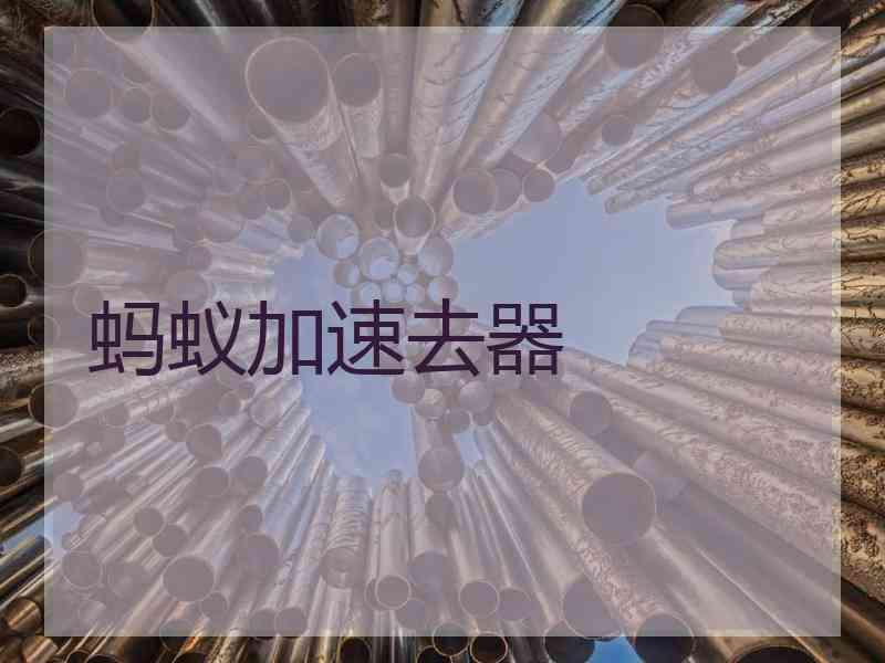 蚂蚁加速去器