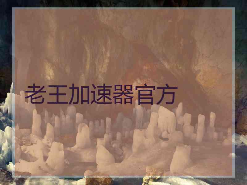 老王加速器官方