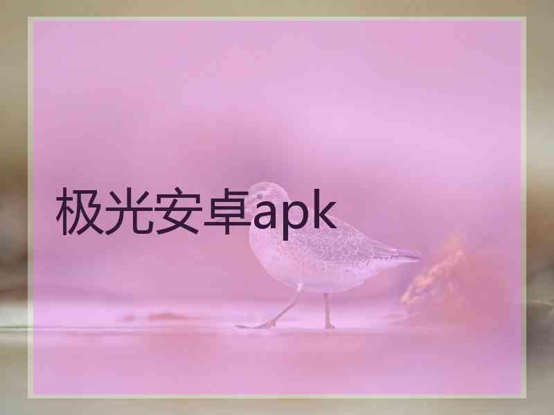 极光安卓apk