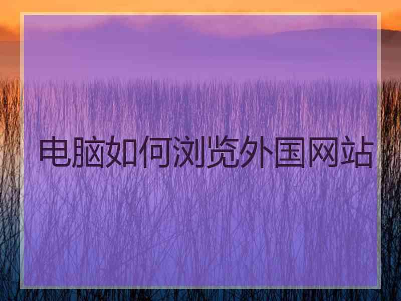 电脑如何浏览外国网站