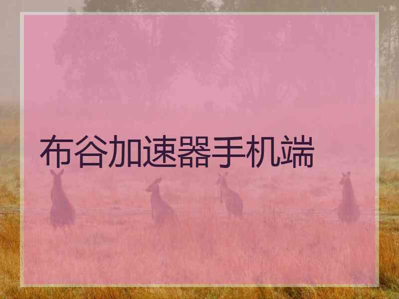 布谷加速器手机端
