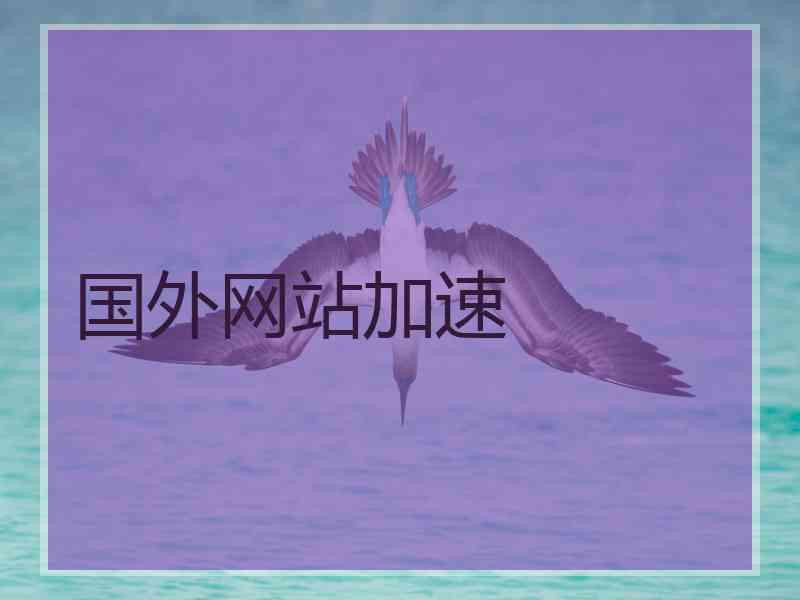 国外网站加速