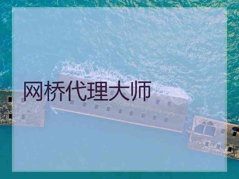 网桥代理大师