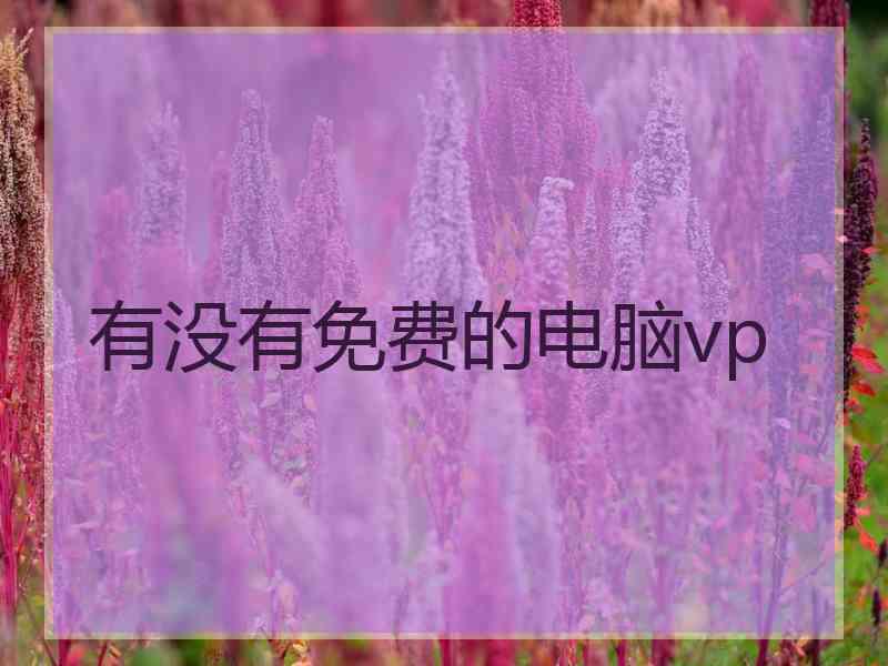 有没有免费的电脑vp