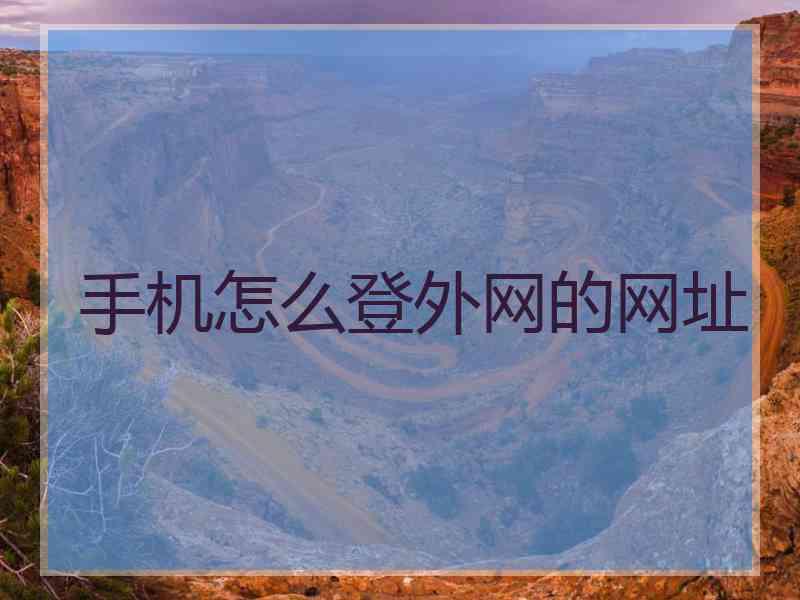 手机怎么登外网的网址