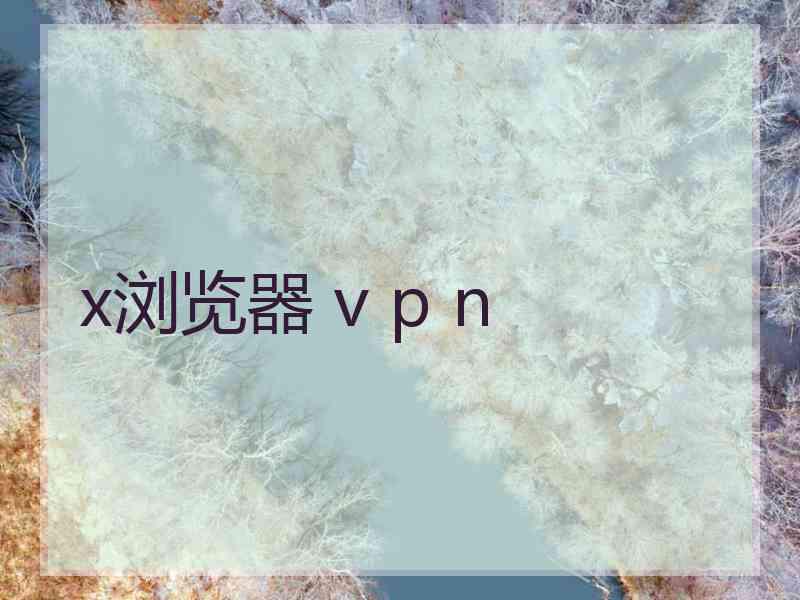 x浏览器 v p n