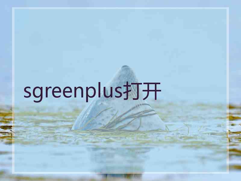 sgreenplus打开