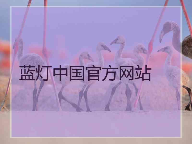 蓝灯中国官方网站
