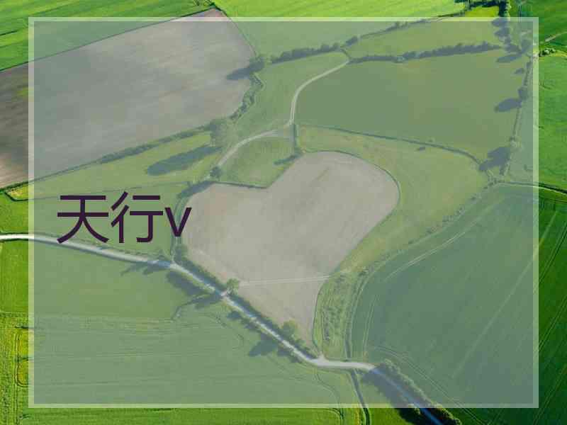 天行v