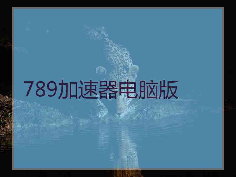 789加速器电脑版