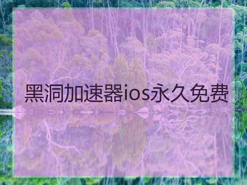 黑洞加速器ios永久免费