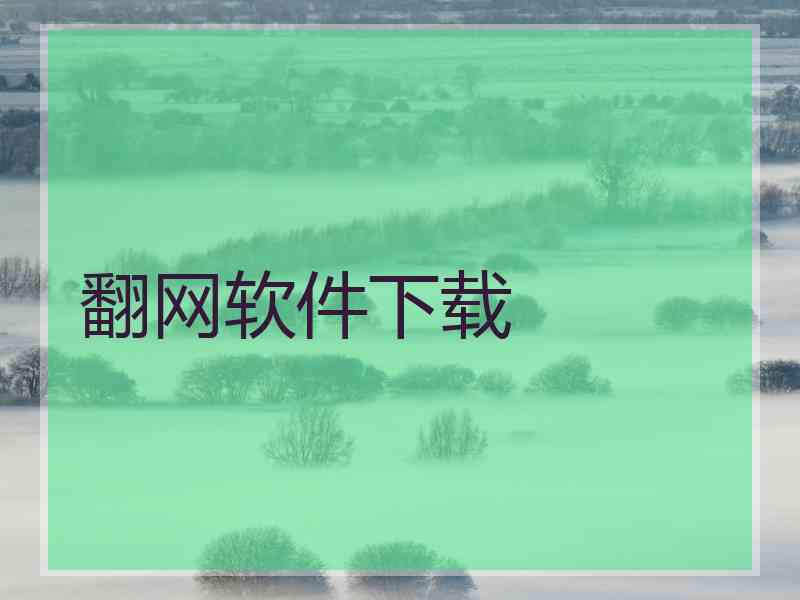 翻网软件下载