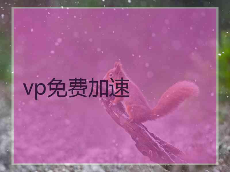 vp免费加速