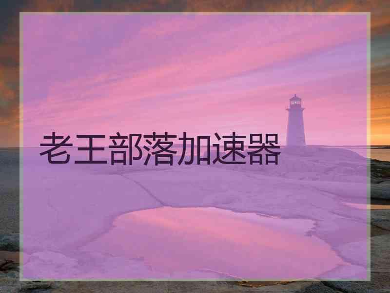 老王部落加速器