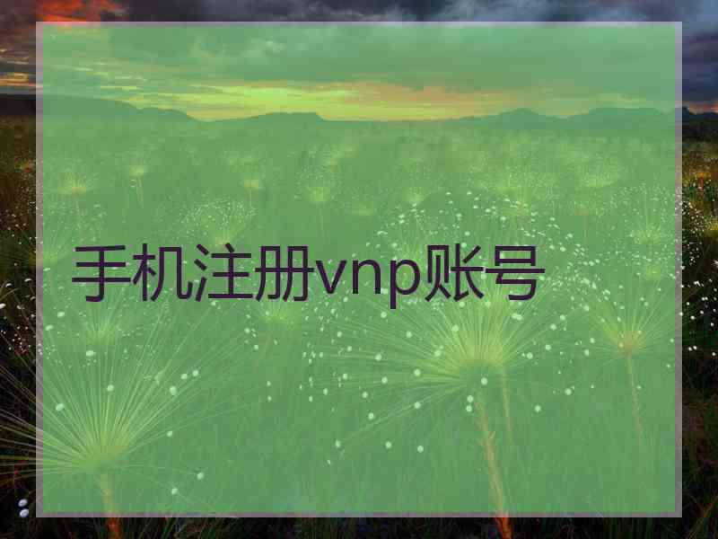 手机注册vnp账号